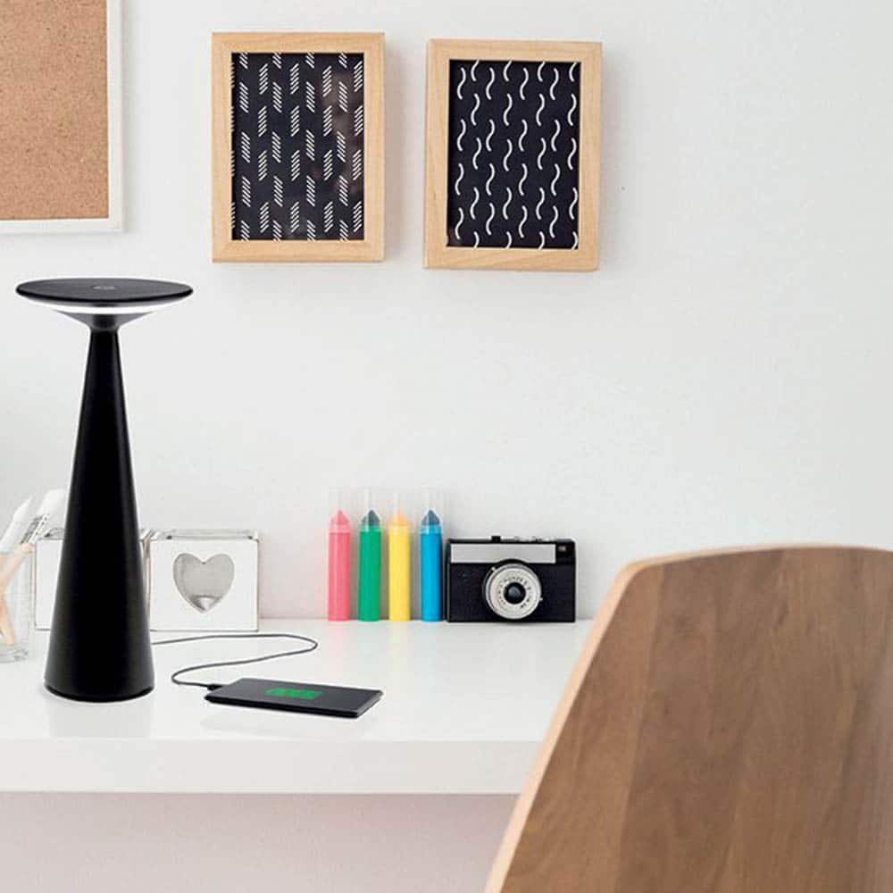 Dama Pro - immagine 2