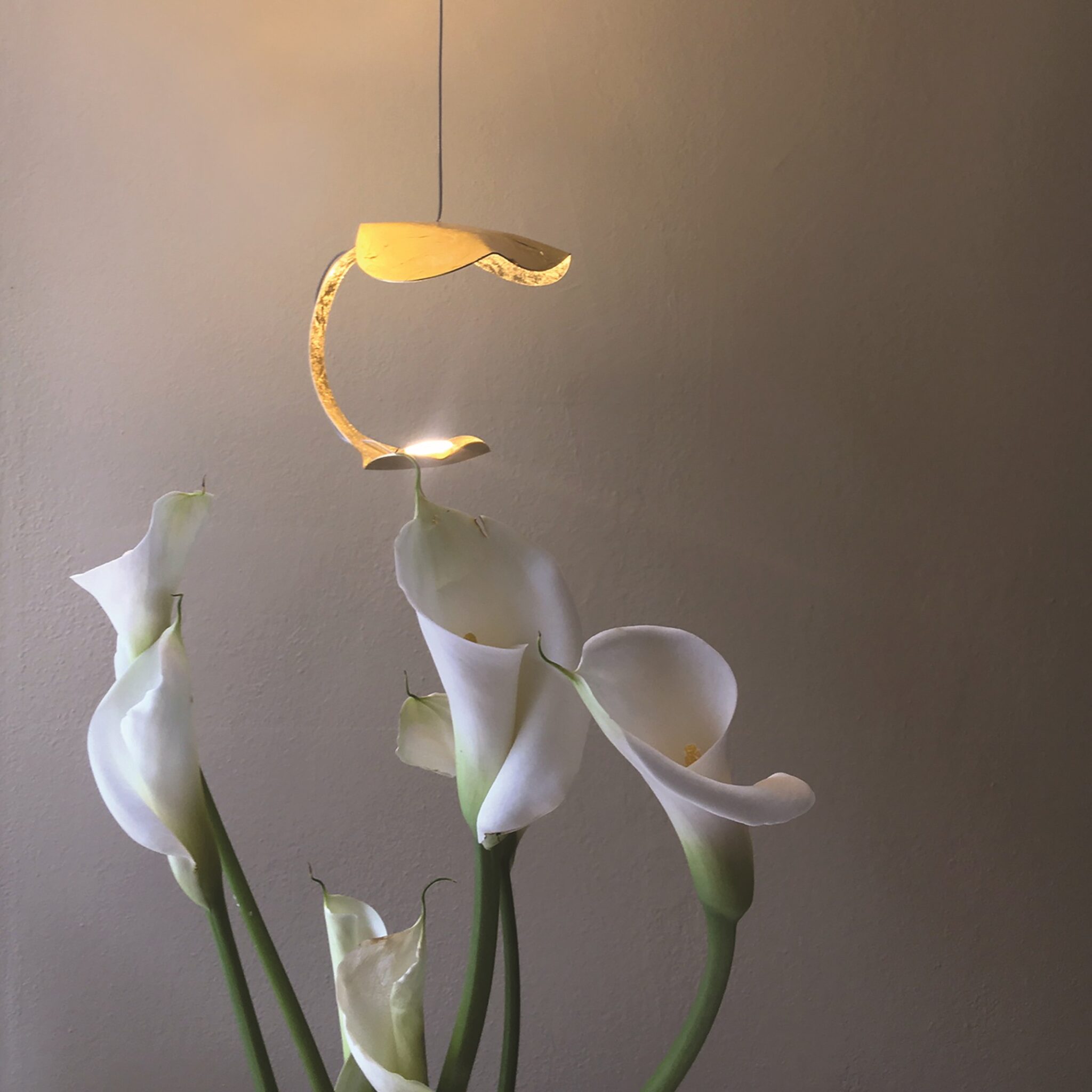 Le Gigine a 8 - Lampada a Sospensione - immagine 4