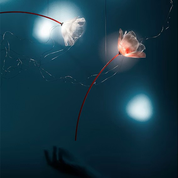 Poppy Suspension - Lampada a Sospensione - immagine 3